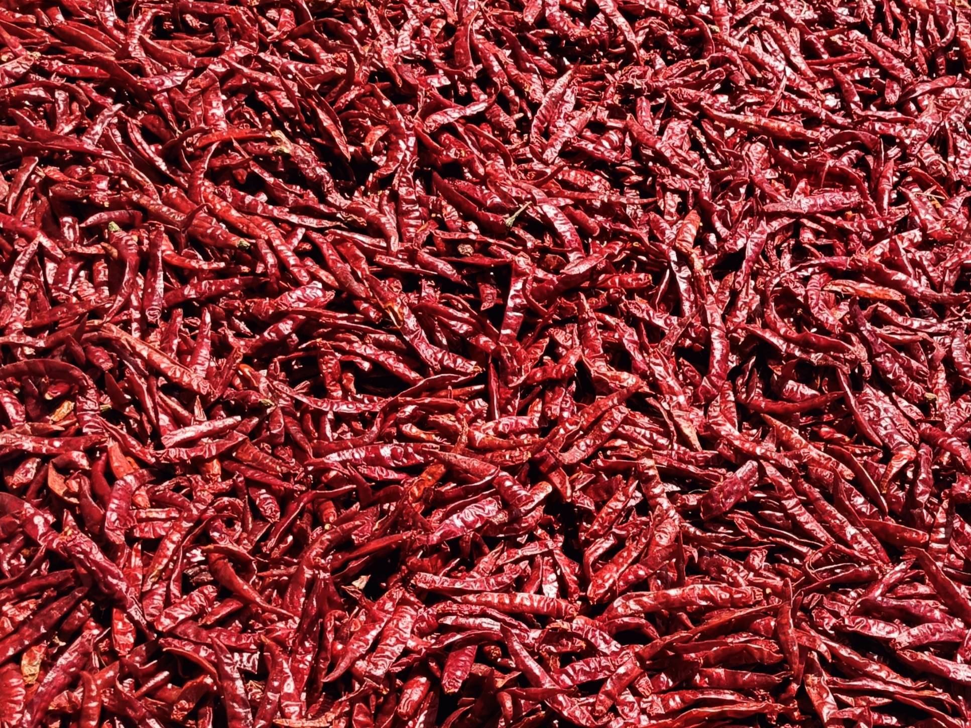 Chilli Powder बिक्री के लिए, ग़ाज़ियाबाद, उत्तर प्रदेश