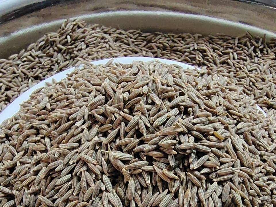 संपूर्ण मसाले Cumin Seeds