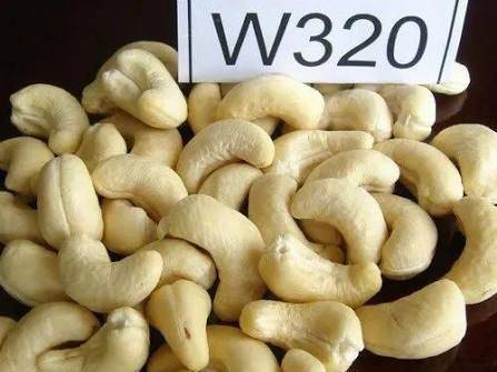 W320 Cashew विक्रीसाठी, पश्चिम दिल्ली, दिल्ली
