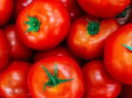 Atharva Tomato विक्रीसाठी, नाशिक, महाराष्ट्र