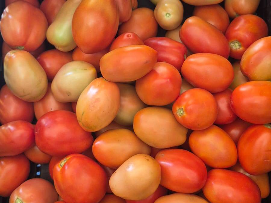 Atharva Tomato विक्रीसाठी, सातारा, महाराष्ट्र
