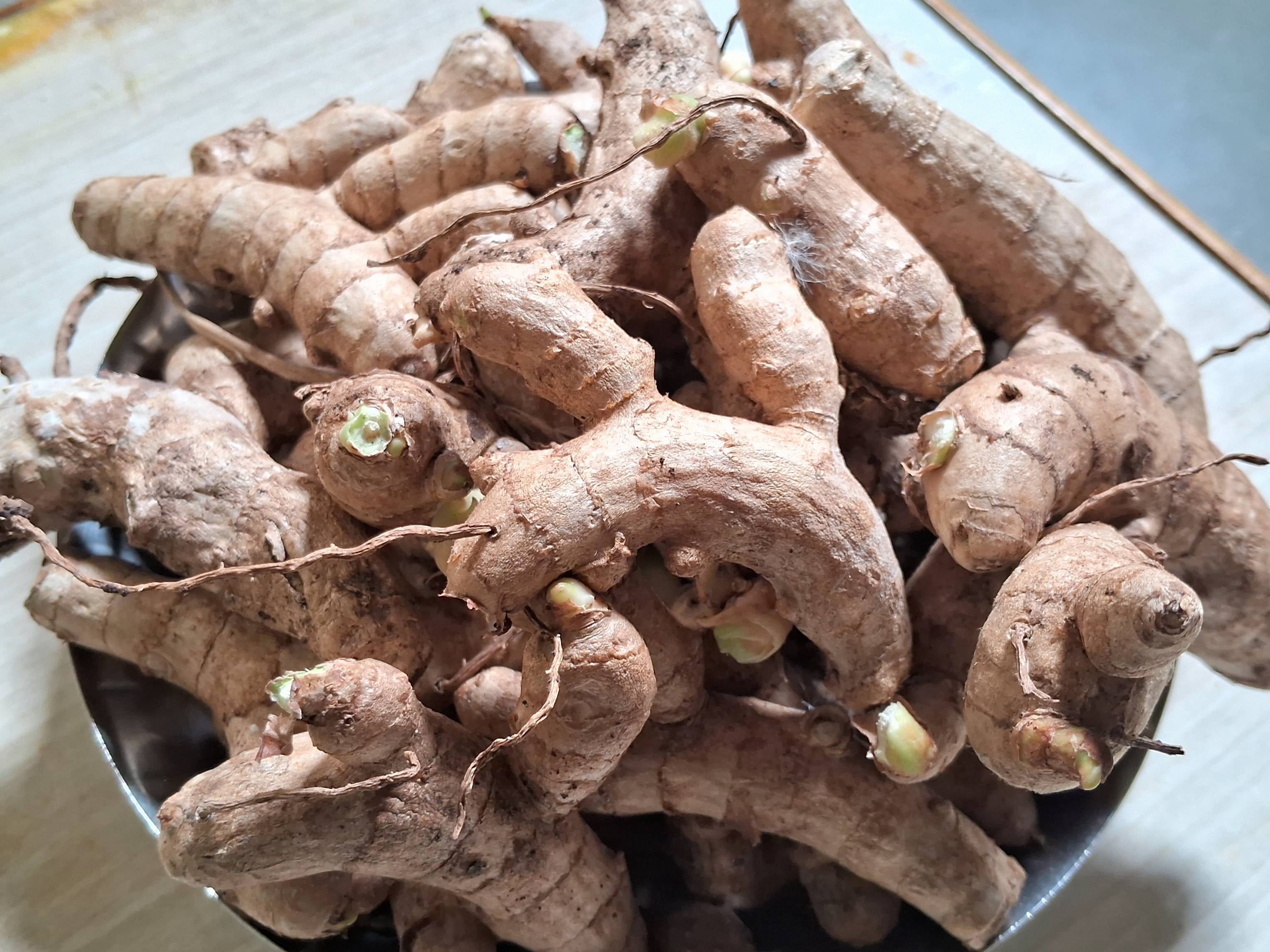 Mango Ginger (Ambe Halad) बिक्री के लिए, पुणे, महाराष्ट्र