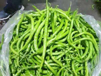 Green Chilli बिक्री के लिए, जालना, महाराष्ट्र
