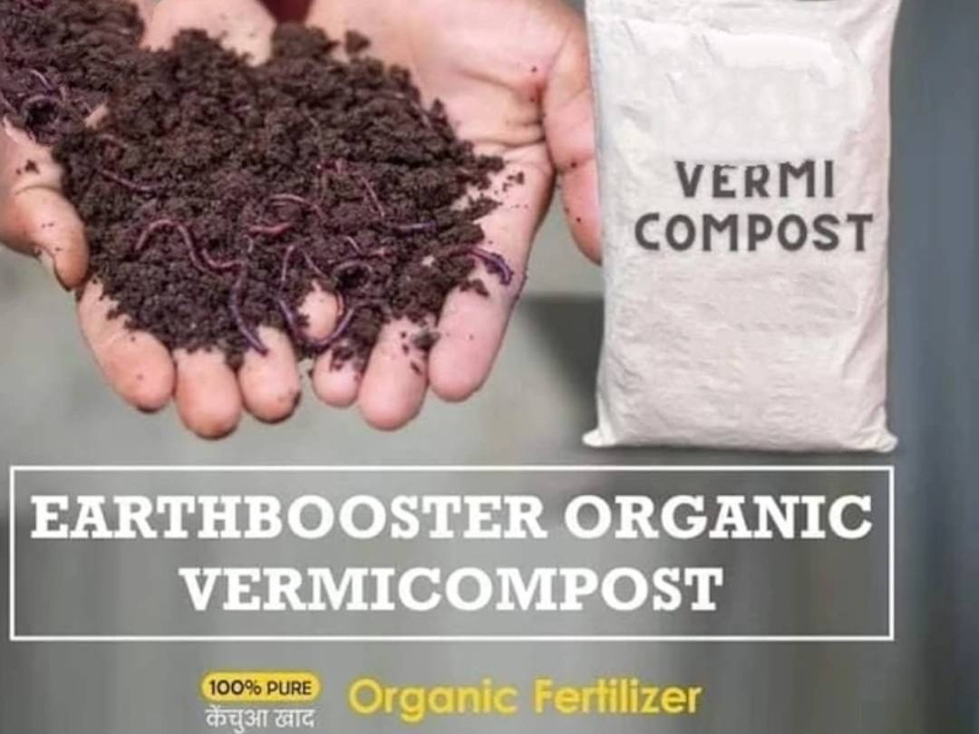 Compost Vermicompost