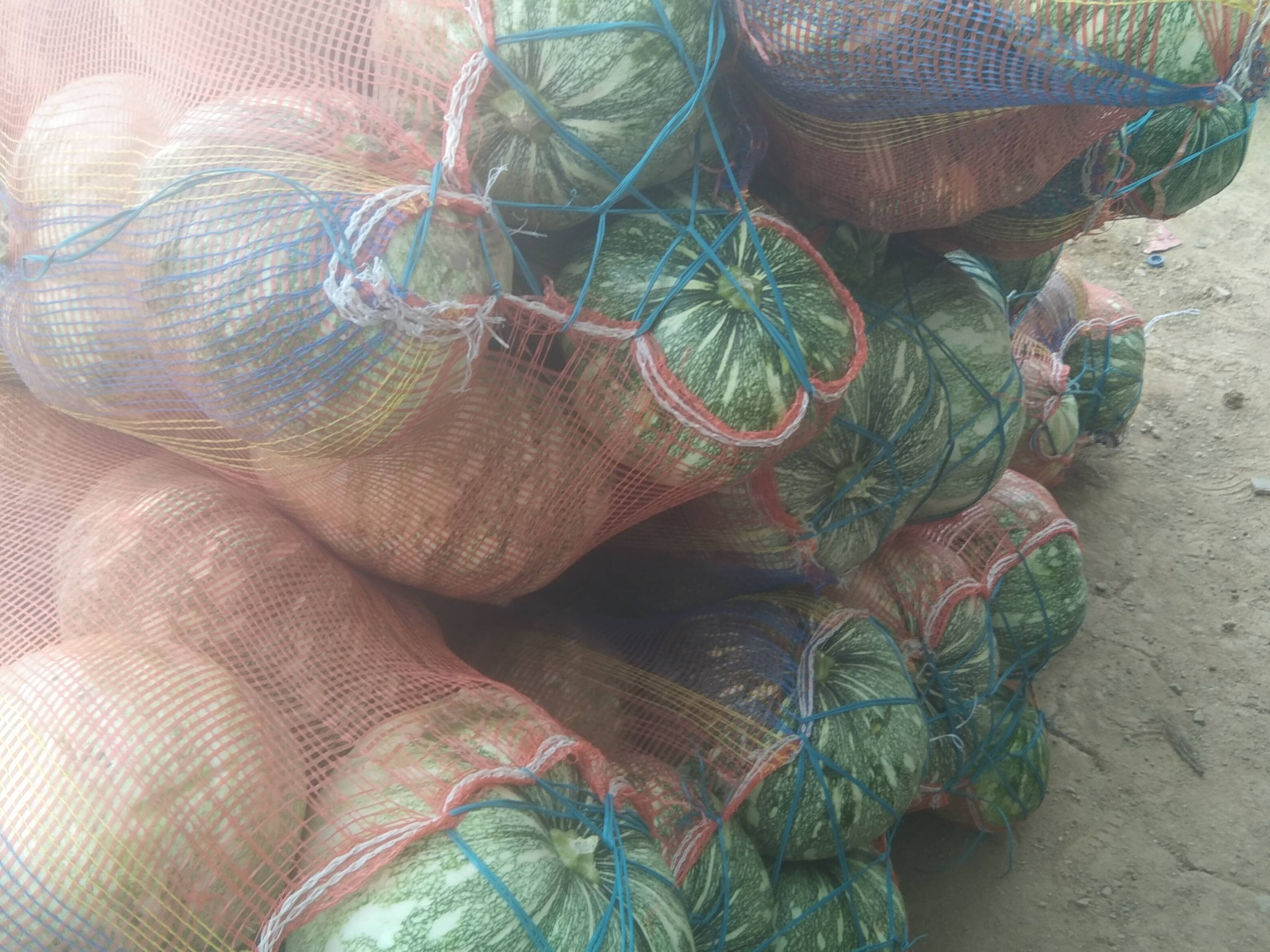 Pusa Vishwas for sale in Satna, Madhya Pradesh