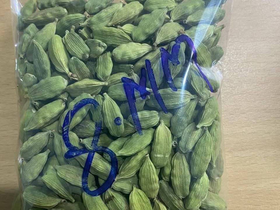 Mysore Cardamom हवे आहे, वलसाड, गुजरात