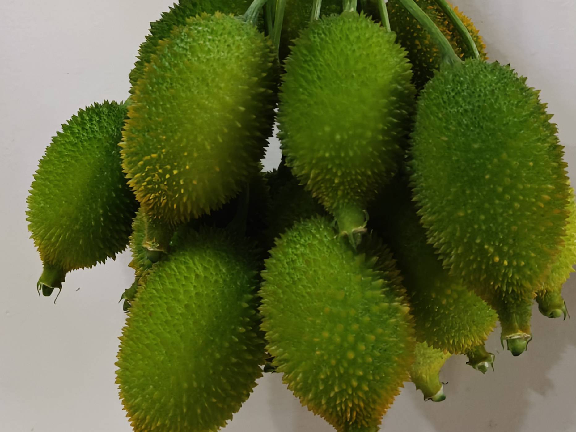 Indira Kankoda 1 for sale in Nashik, Maharashtra