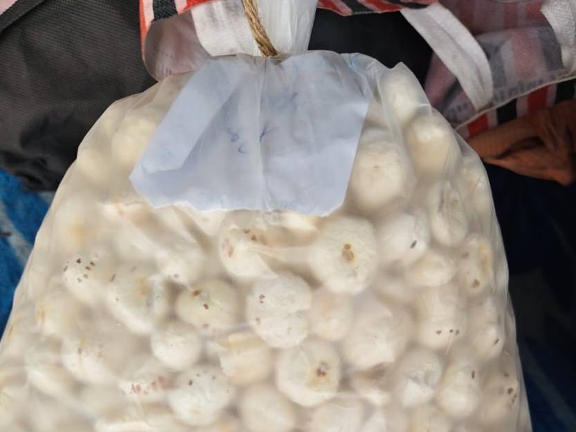 Lava (Large) Makhana बिक्री के लिए, ठाणे, महाराष्ट्र