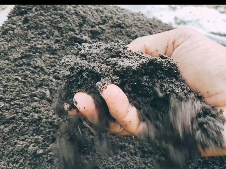 Compost Vermicompost