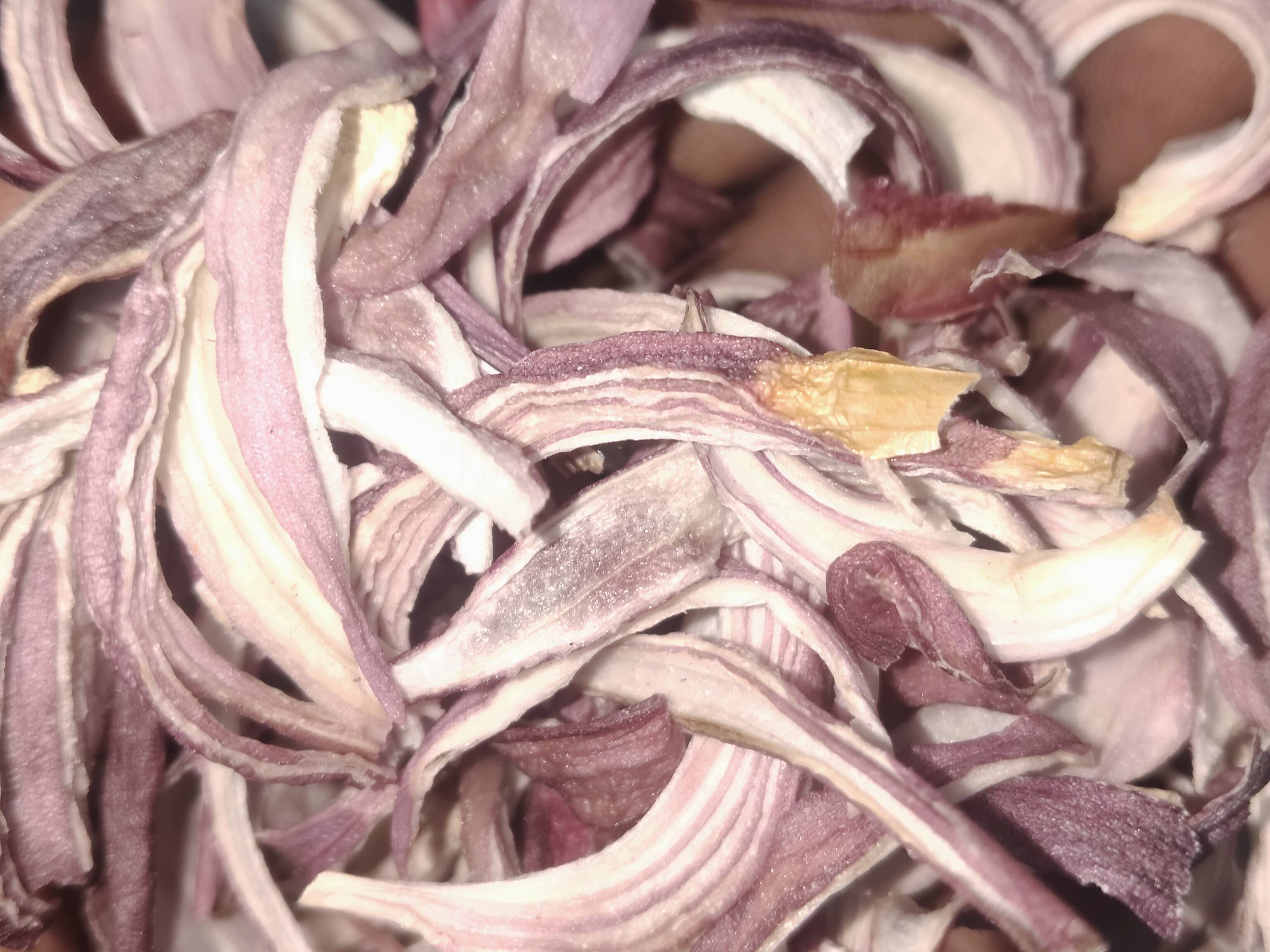 निर्जलित भाजीपाला Onion Flakes