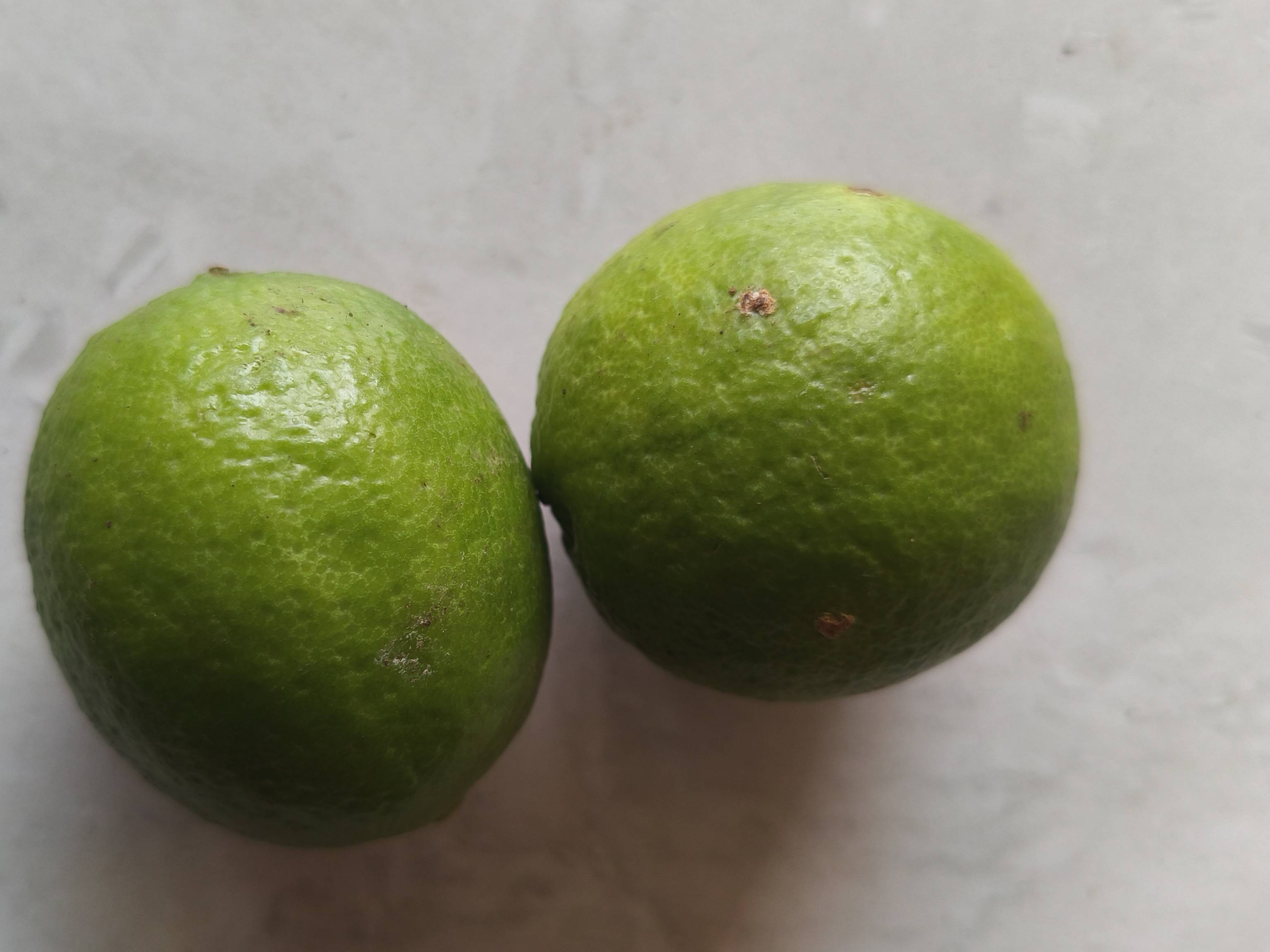 Nemu Tenga for sale in Dhule, Maharashtra