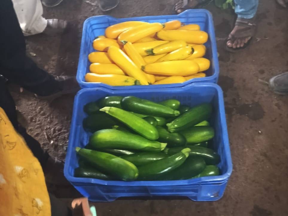 yellow Zucchini for sale in Nashik, Maharashtra