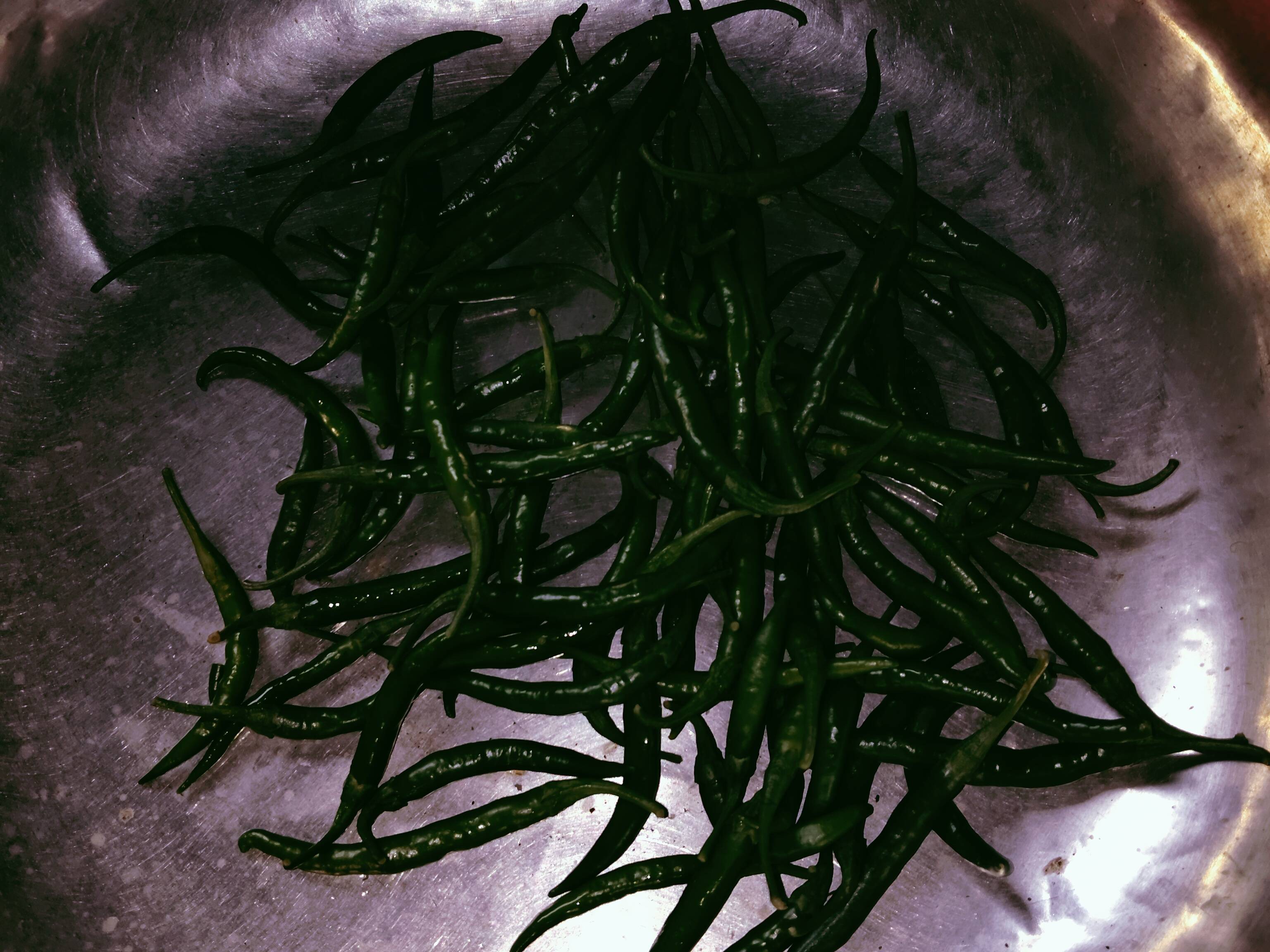 Green Chilli विक्रीसाठी, छत्रपती संभाजीनगर, महाराष्ट्र