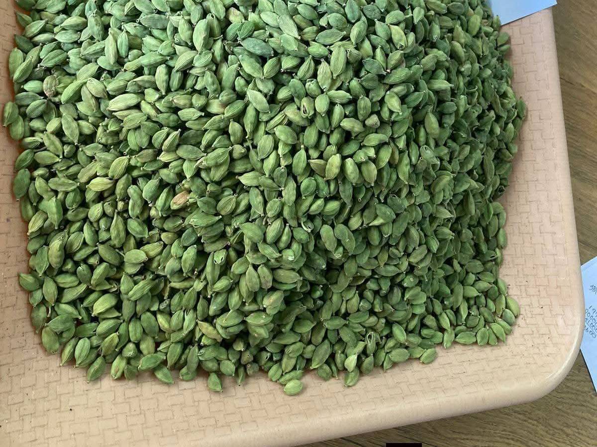 Cardamom Mysore Cardamom