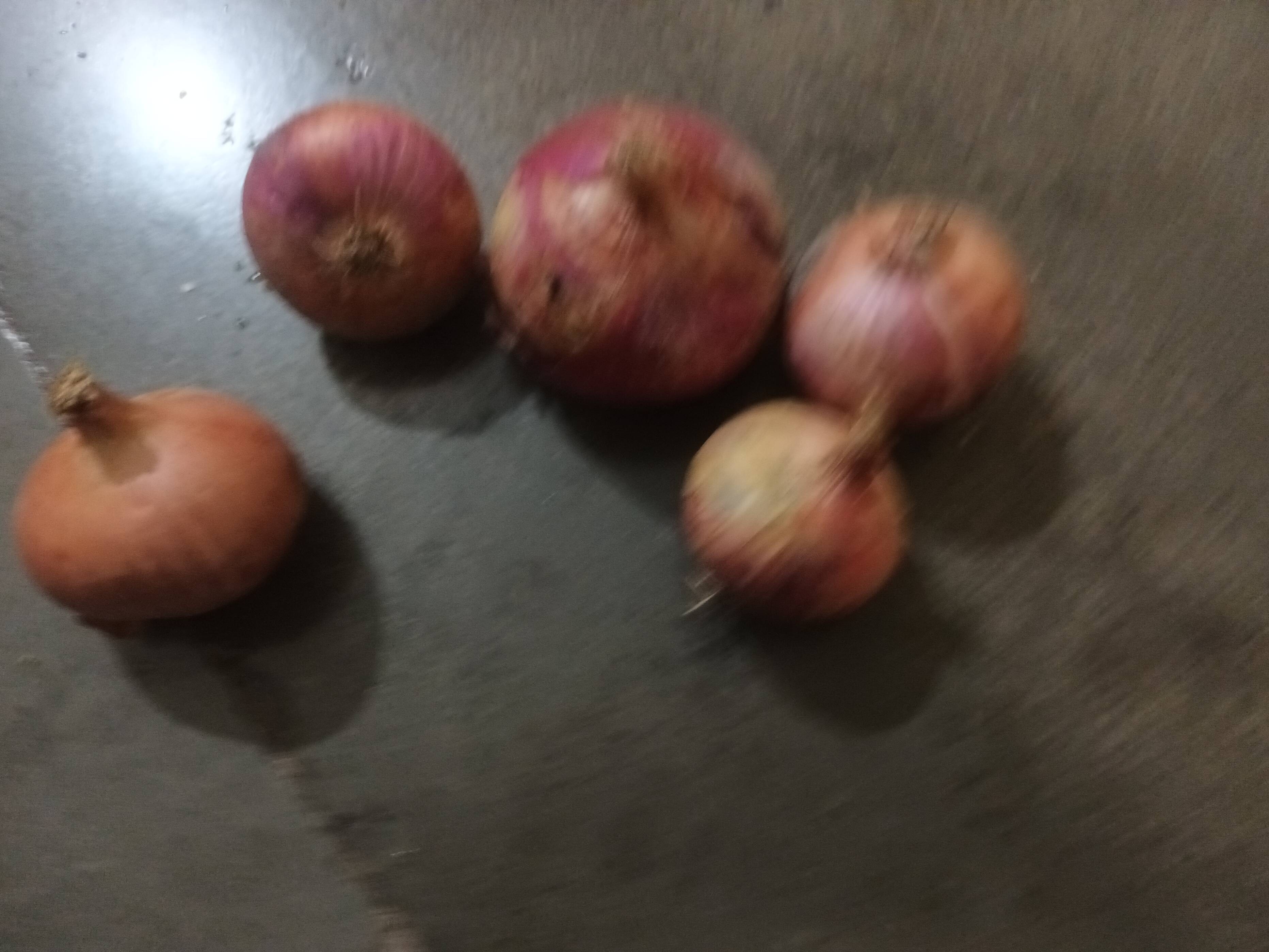 Summer Onion for sale in Pune, Maharashtra
