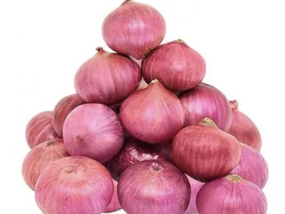 Summer Onion बिक्री के लिए, पुणे, महाराष्ट्र