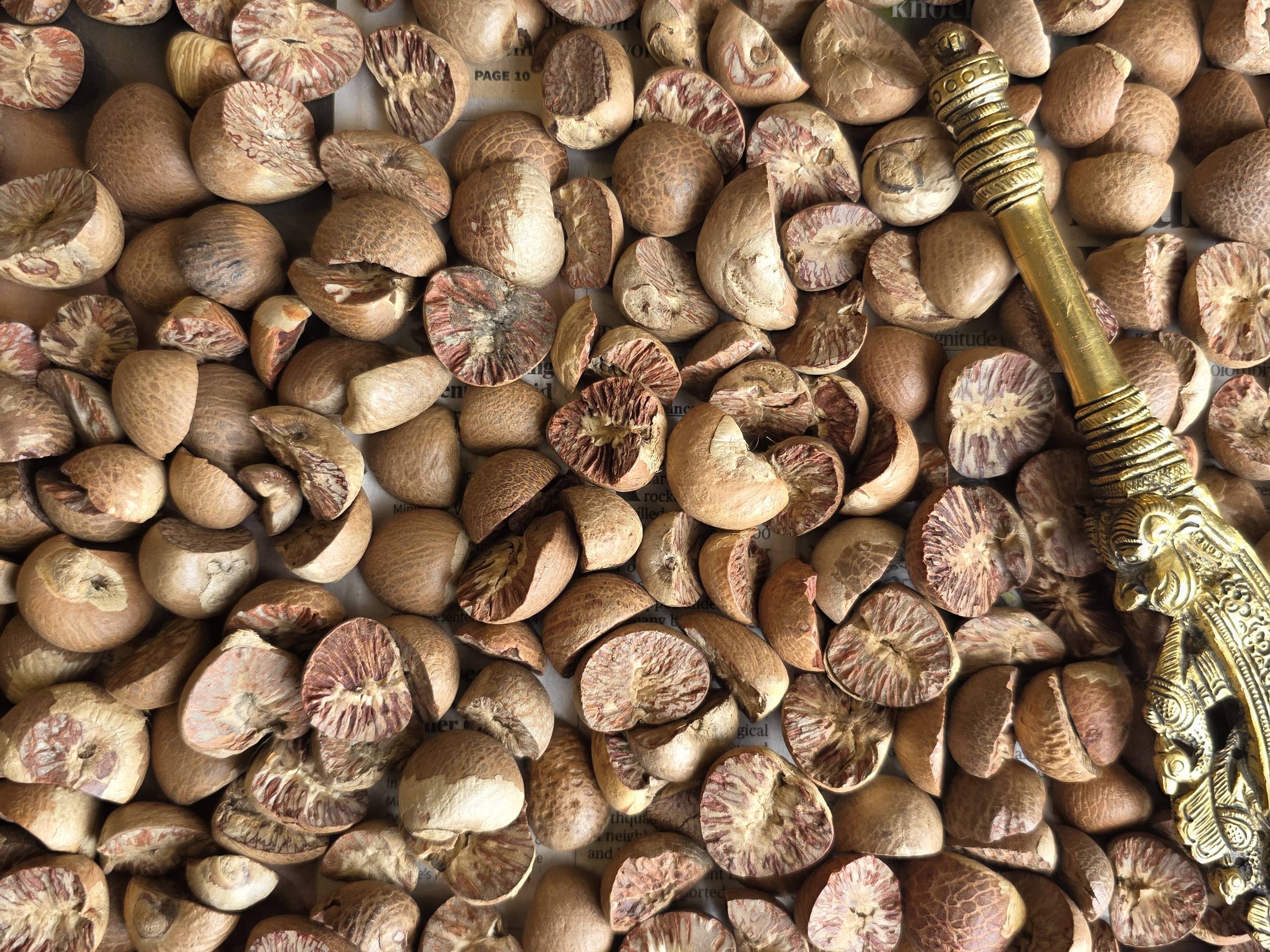 Arecanut विक्रीसाठी, नाशिक, महाराष्ट्र