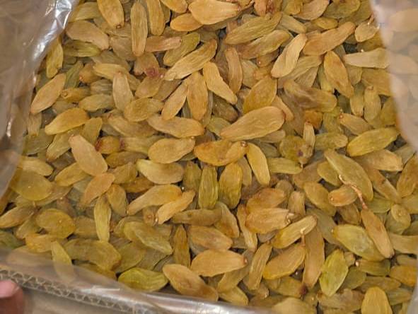 Anab-e-Shahi Raisins बिक्री के लिए, सोलापुर, महाराष्ट्र