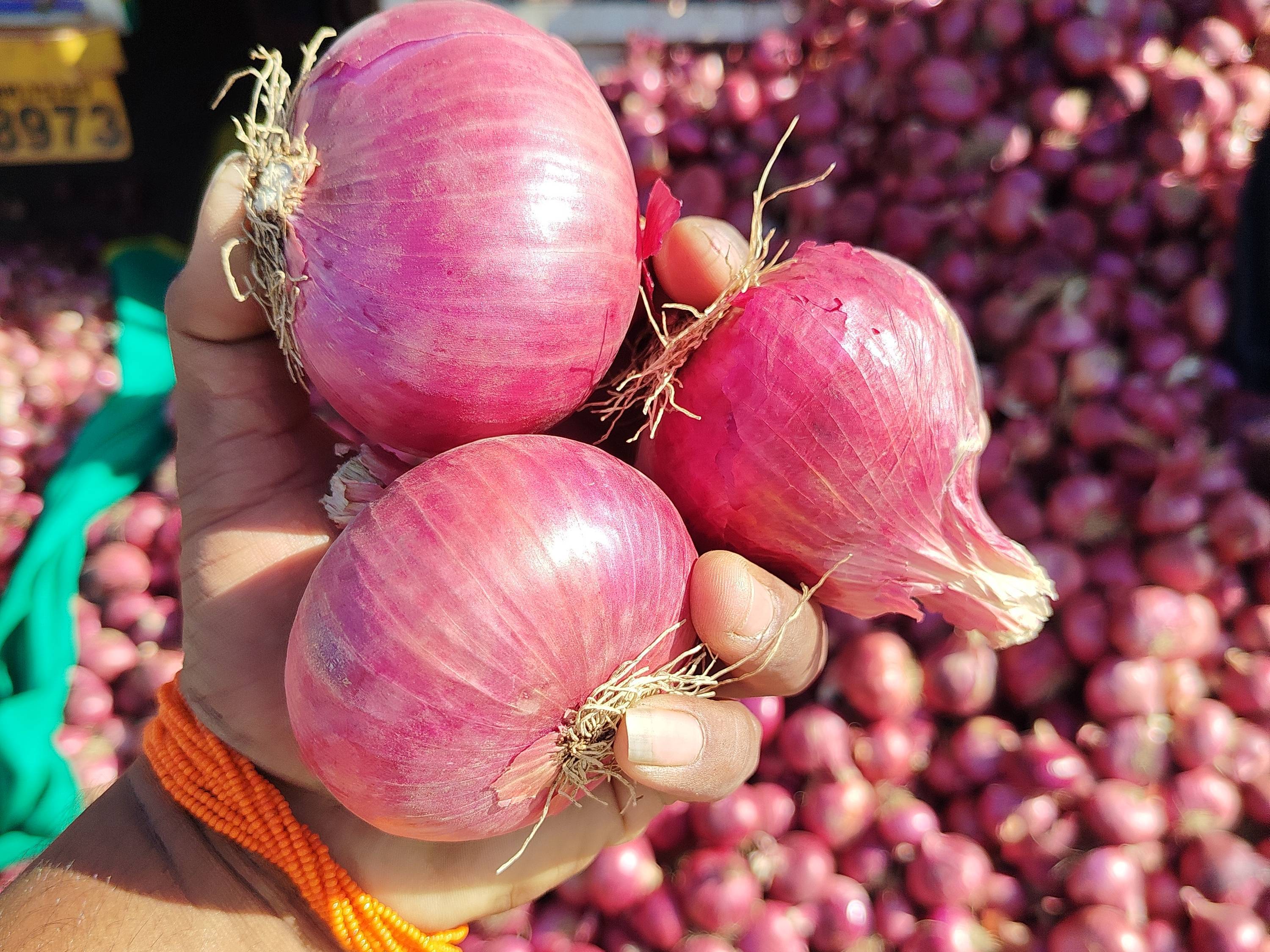 Pink Onion for sale in Nashik, Maharashtra