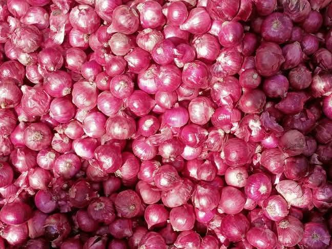 Pink Onion for sale in Nashik, Maharashtra