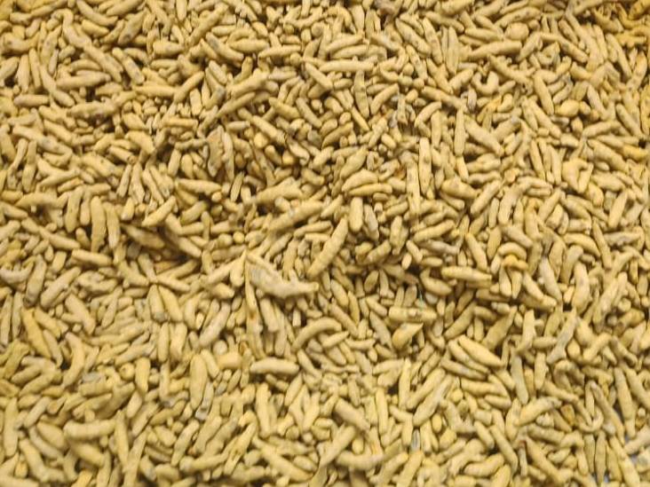 Turmeric Salem
