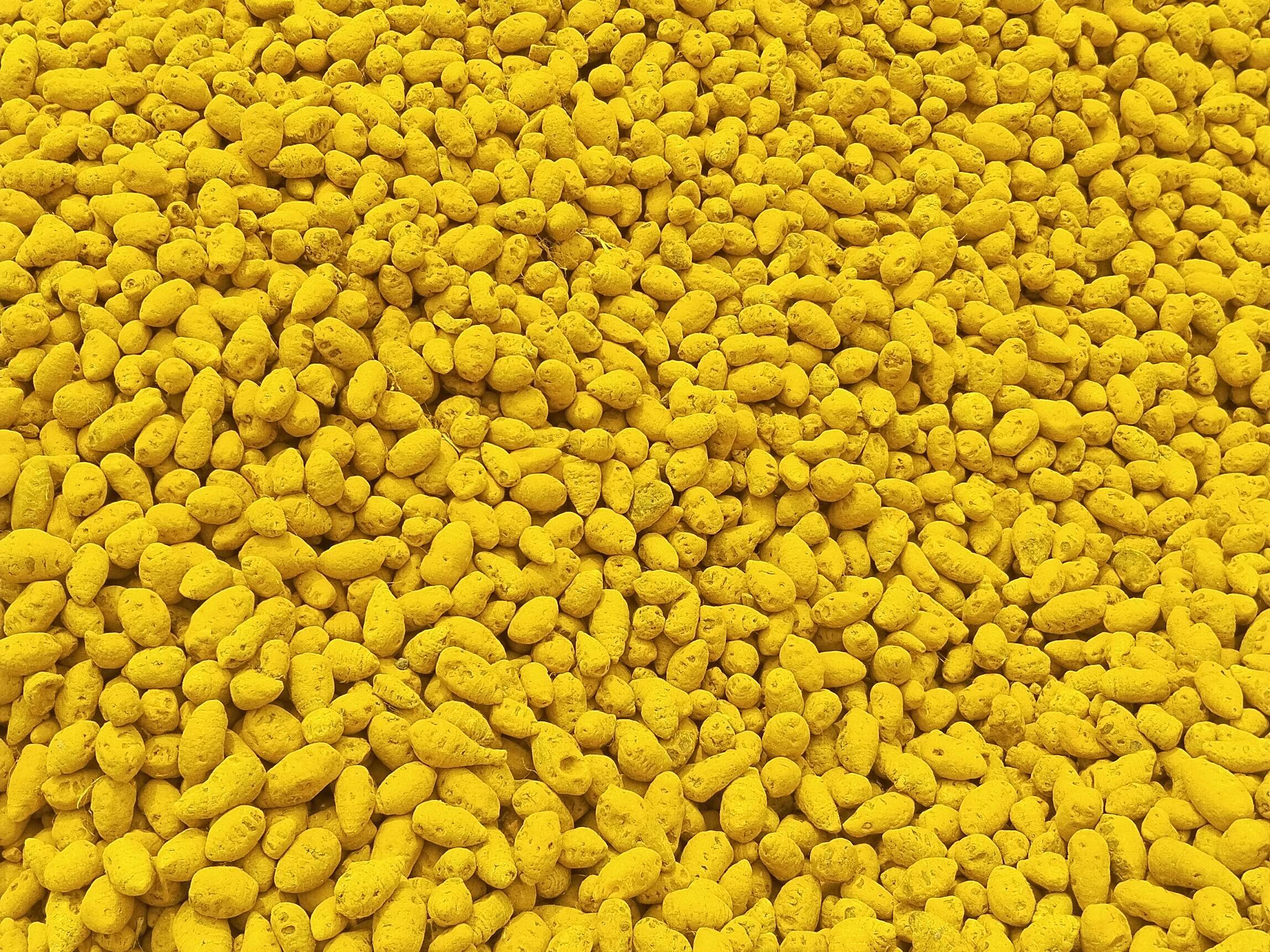 Turmeric Salem Bulb Turmeric