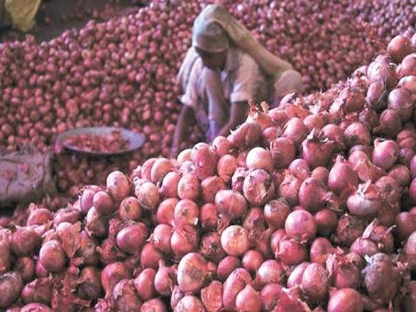 Summer Onion बिक्री के लिए, छत्रपति संभाजीनगर, महाराष्ट्र