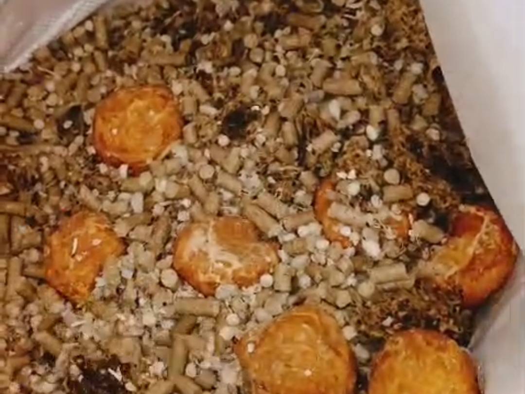 Buffalo Feed Mineral Mix Feed
