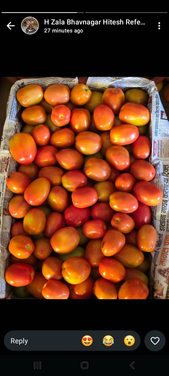 Atharva Tomato विक्रीसाठी, नाशिक, महाराष्ट्र