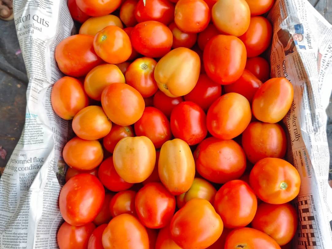 Atharva Tomato विक्रीसाठी, नाशिक, महाराष्ट्र