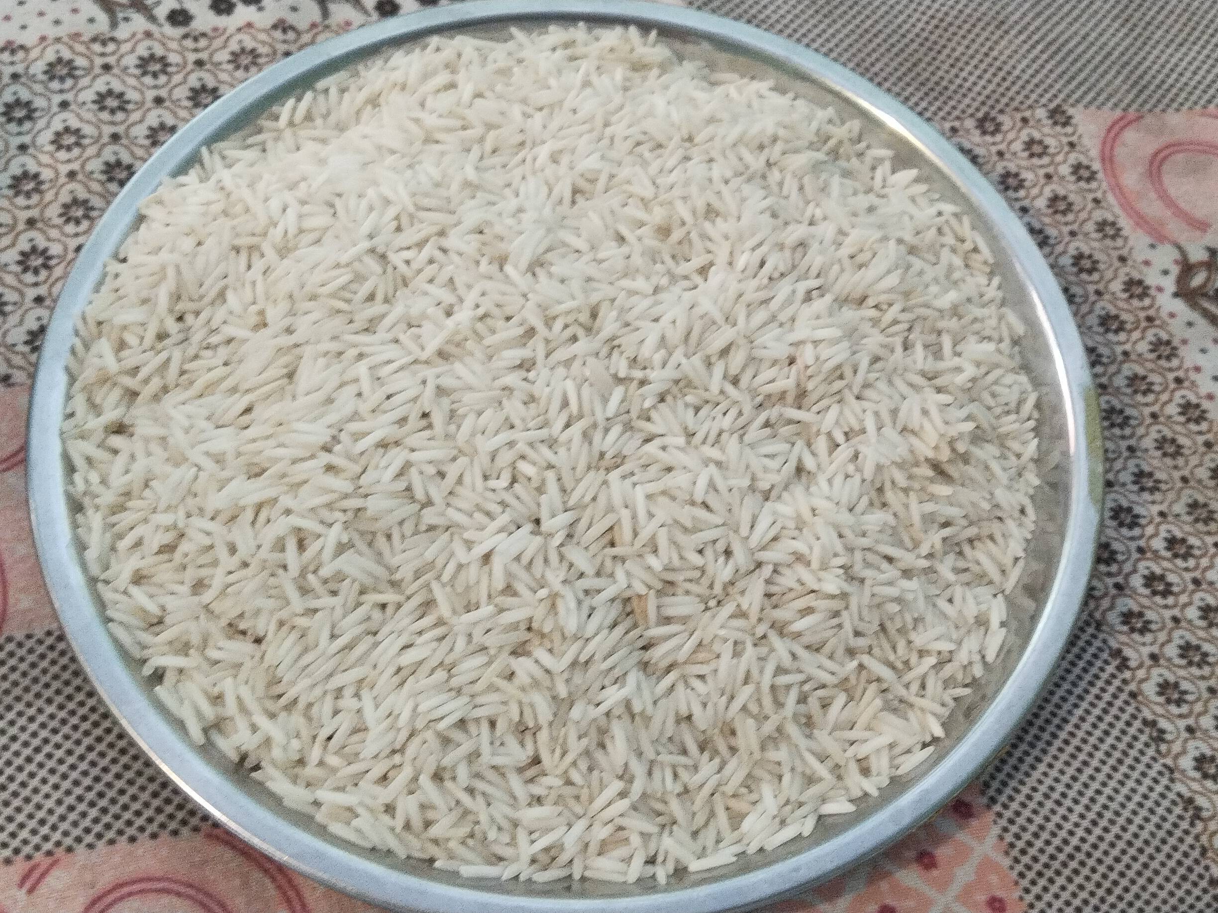 Basmati for sale in Ganganagar, Rajasthan