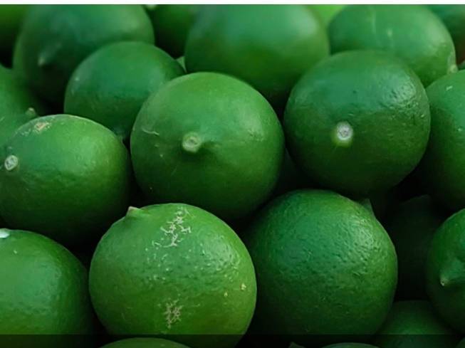 Kagzi Lime for sale in Jalgaon, Maharashtra