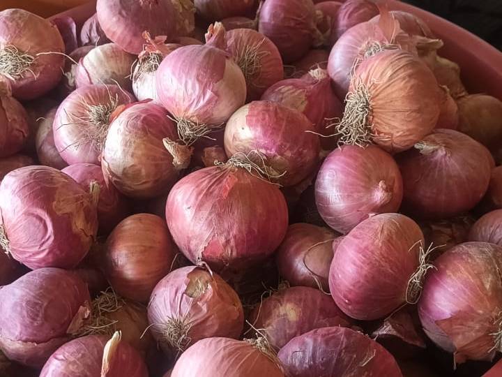 Summer Onion for sale in Ahilyanagar, Maharashtra