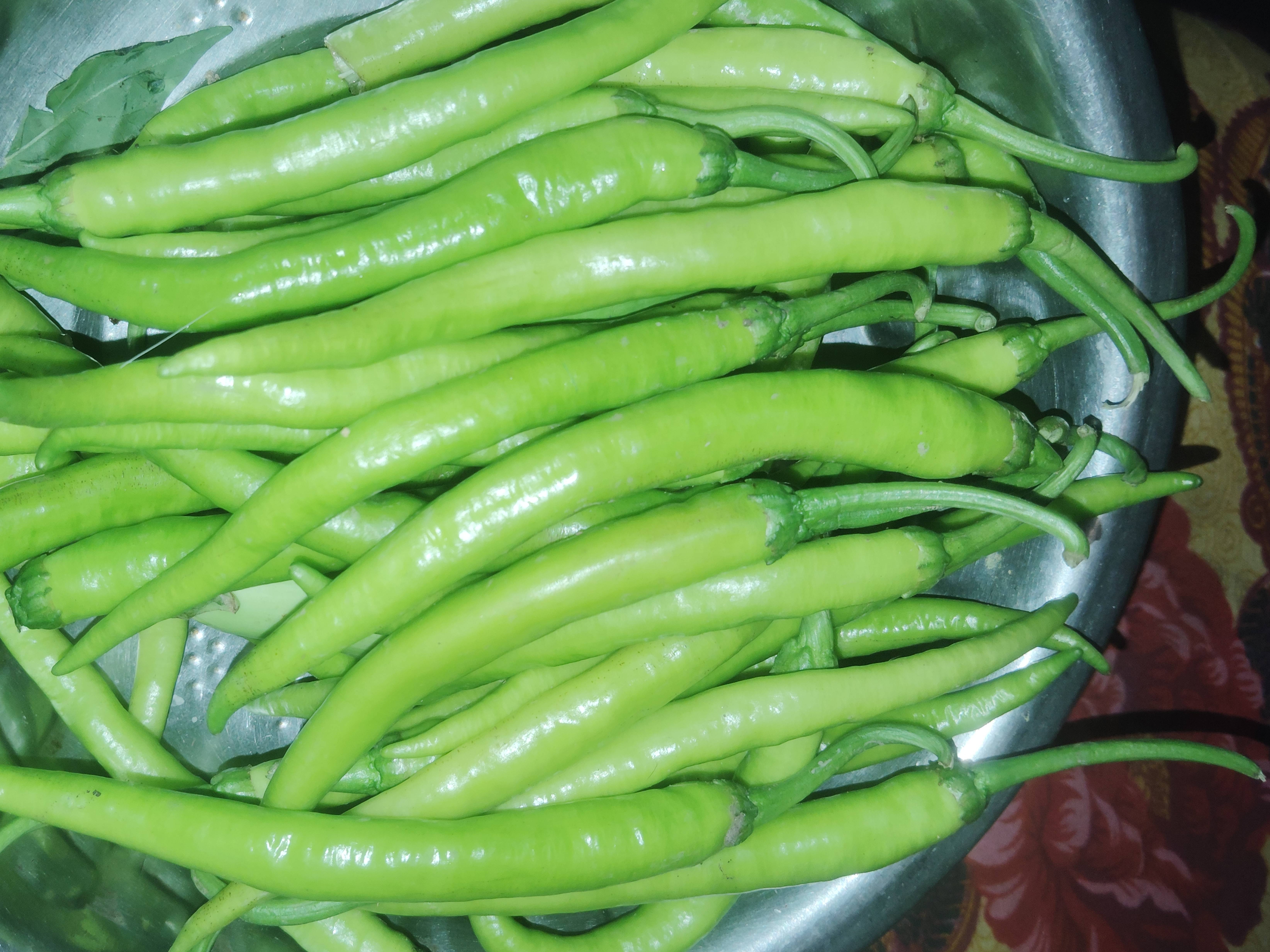 Green Chilli for sale in Jalgaon, Maharashtra