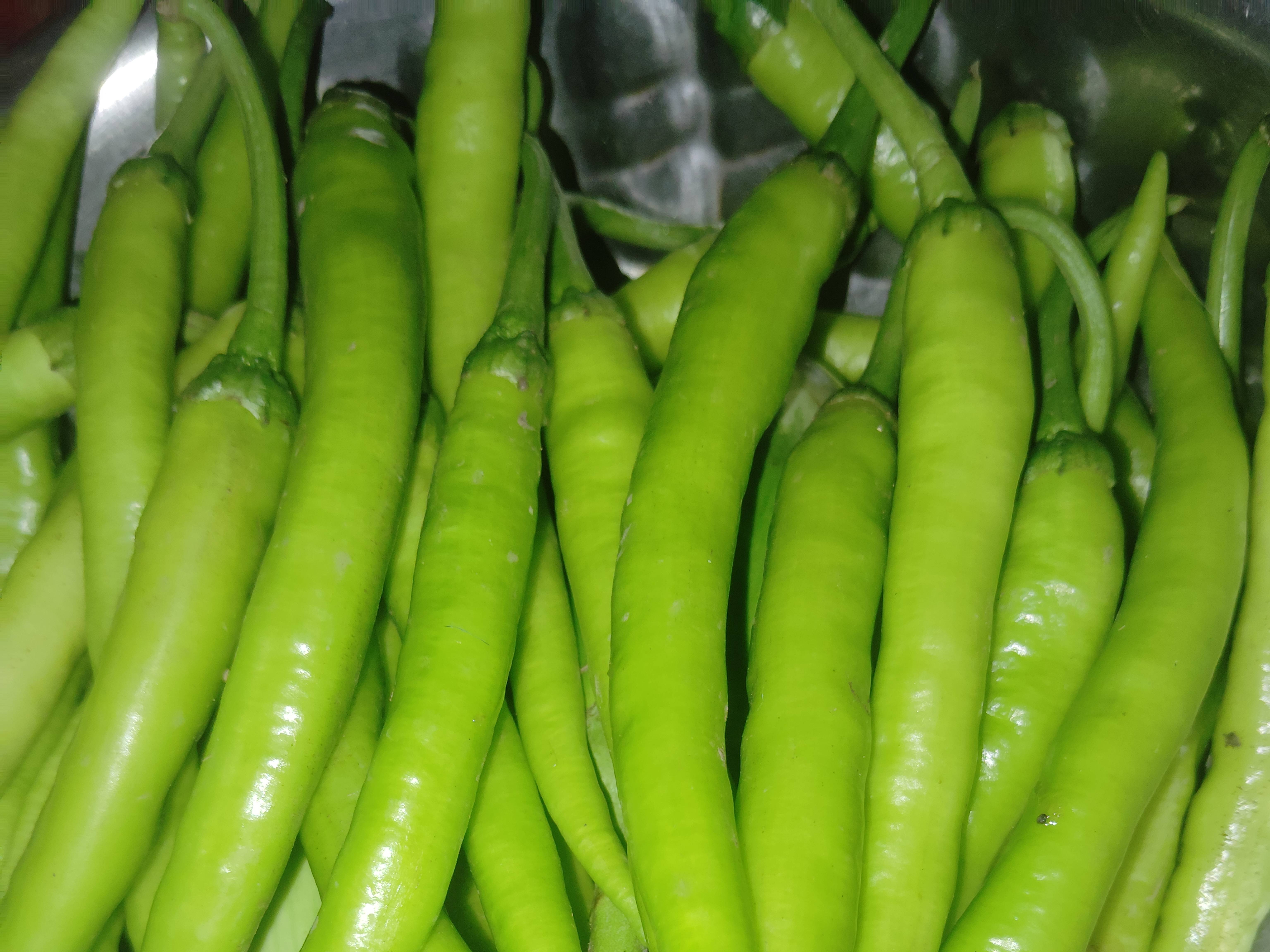 Green Chilli for sale in Jalgaon, Maharashtra