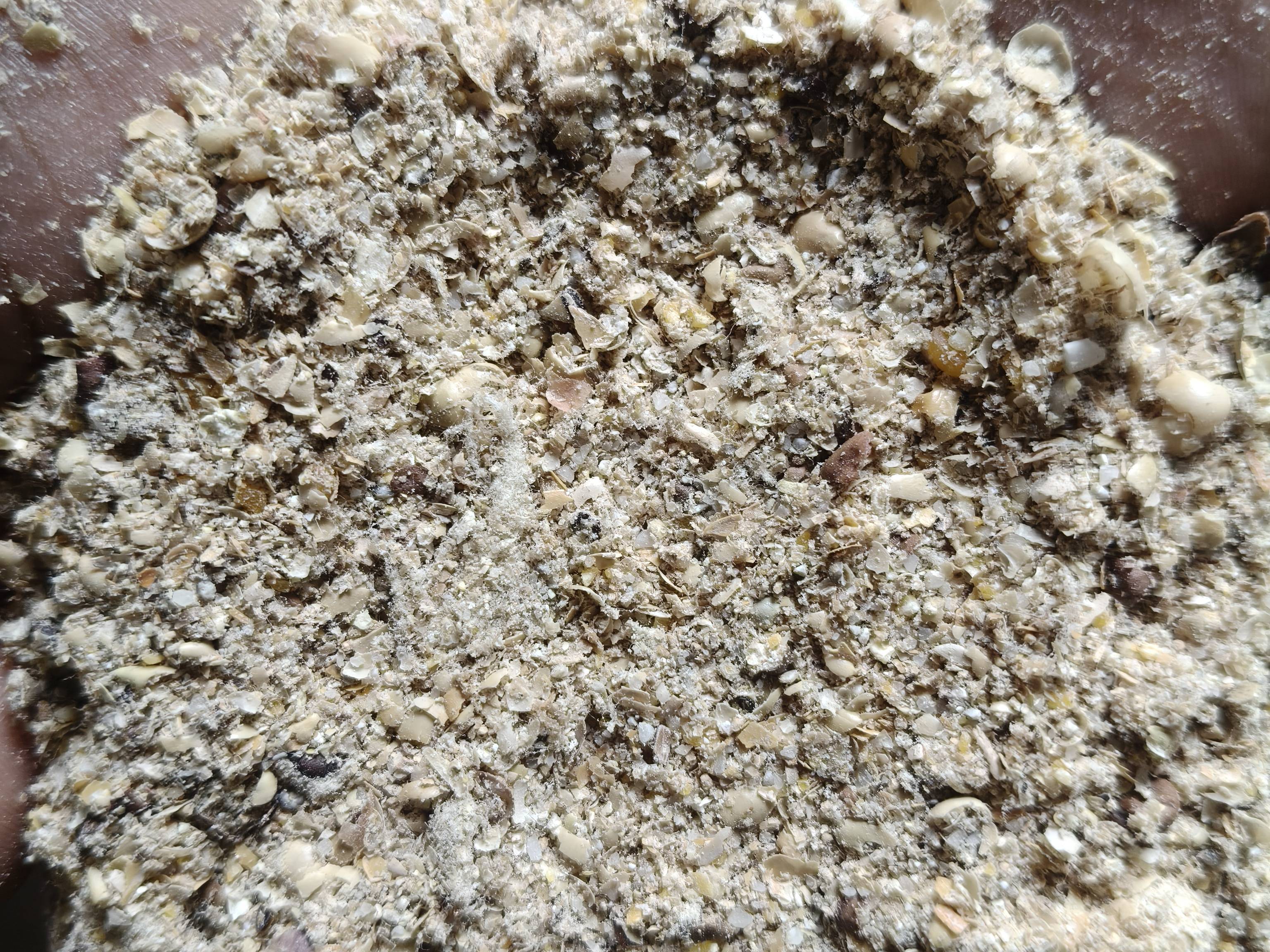 Buffalo Feed Lactating Buffalo Feed