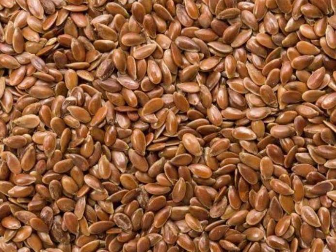 Brown Flaxseed विक्रीसाठी, उदयपूर, राजस्थान