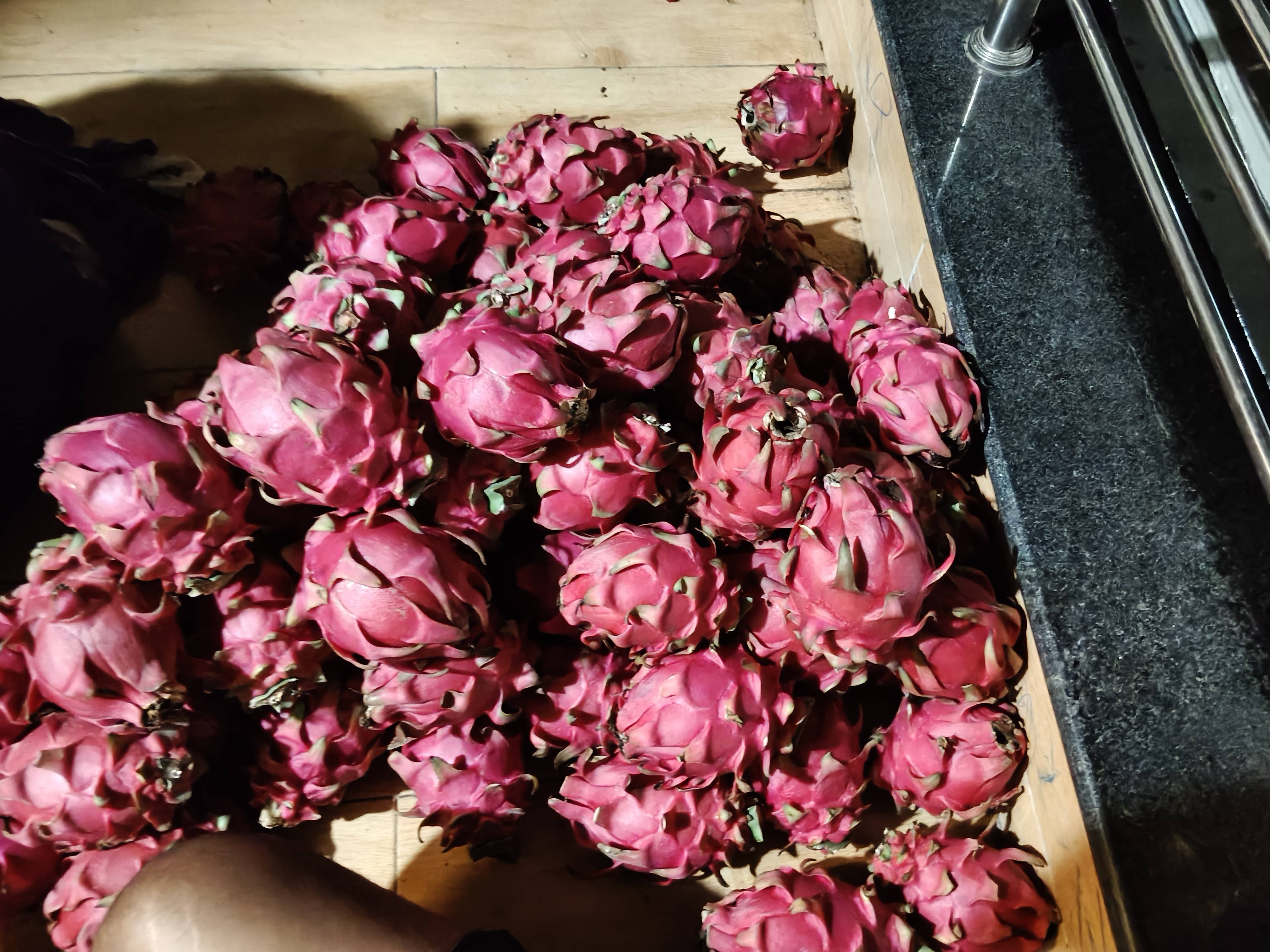 Red Dragon Fruit बिक्री के लिए, छत्रपति संभाजीनगर, महाराष्ट्र