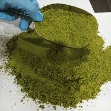 Moringa Leaf Powder विक्रीसाठी, छत्रपती संभाजीनगर, महाराष्ट्र