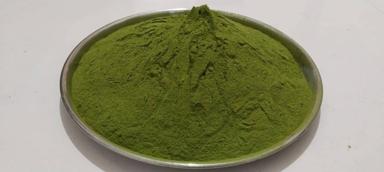Moringa Leaf Powder विक्रीसाठी, छत्रपती संभाजीनगर, महाराष्ट्र