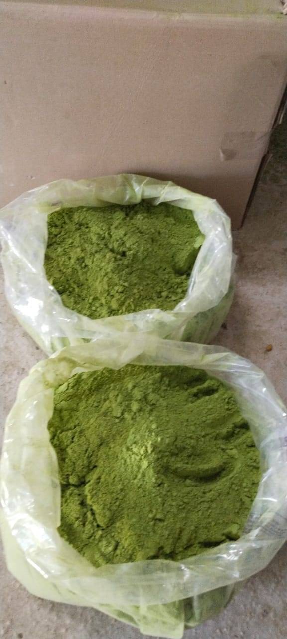 निर्जलित हर्बल (औषधीय) उत्पाद Moringa Leaf Powder