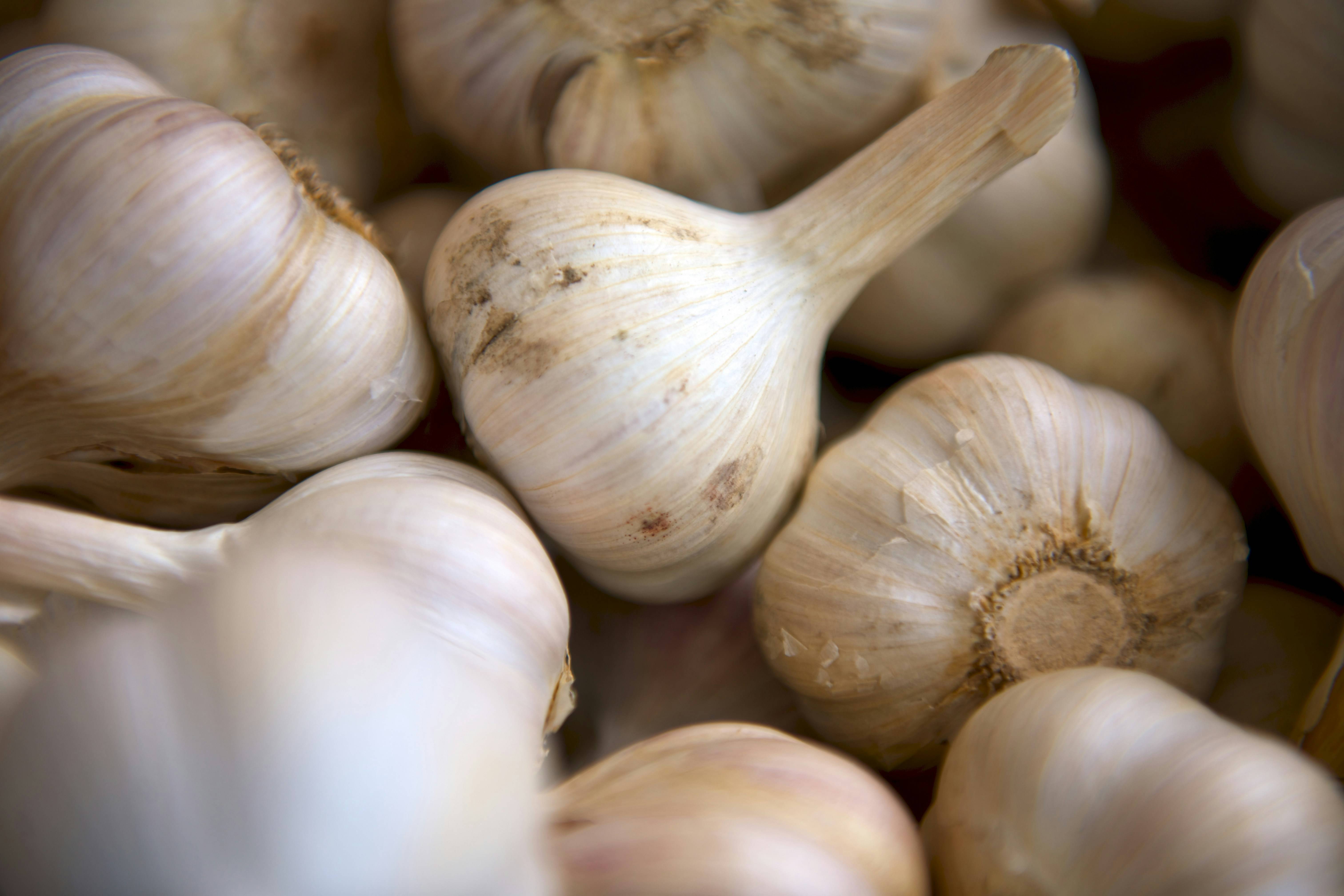White Garlic विक्रीसाठी, जलपाईगुडी, पश्चिम बंगाल