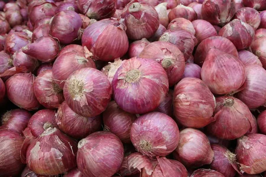 Summer Onion बिक्री के लिए, नासिक, महाराष्ट्र