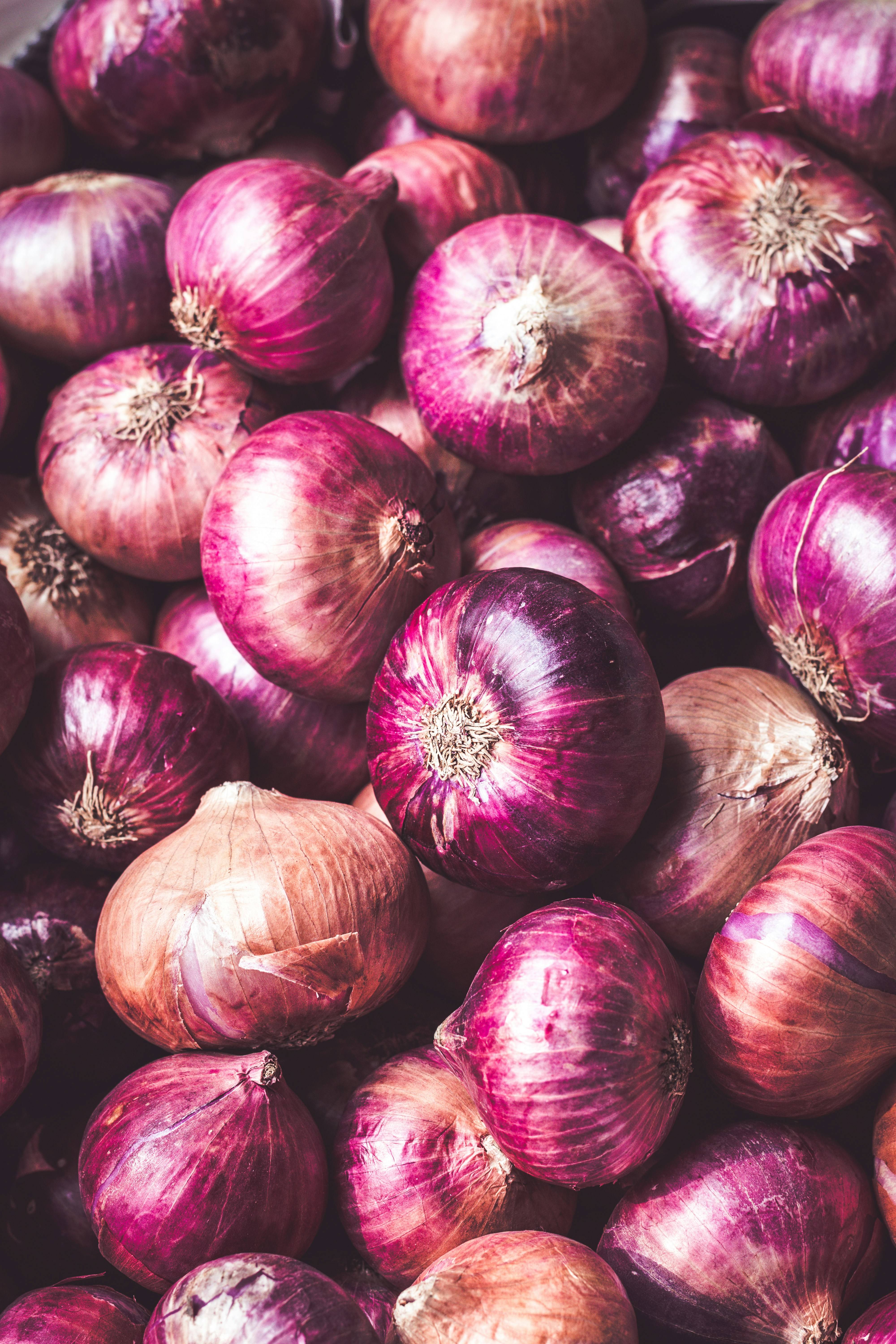 Summer Onion बिक्री के लिए, जलपाईगुड़ी, पश्चिम बंगाल