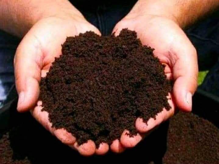 Compost Vermicompost