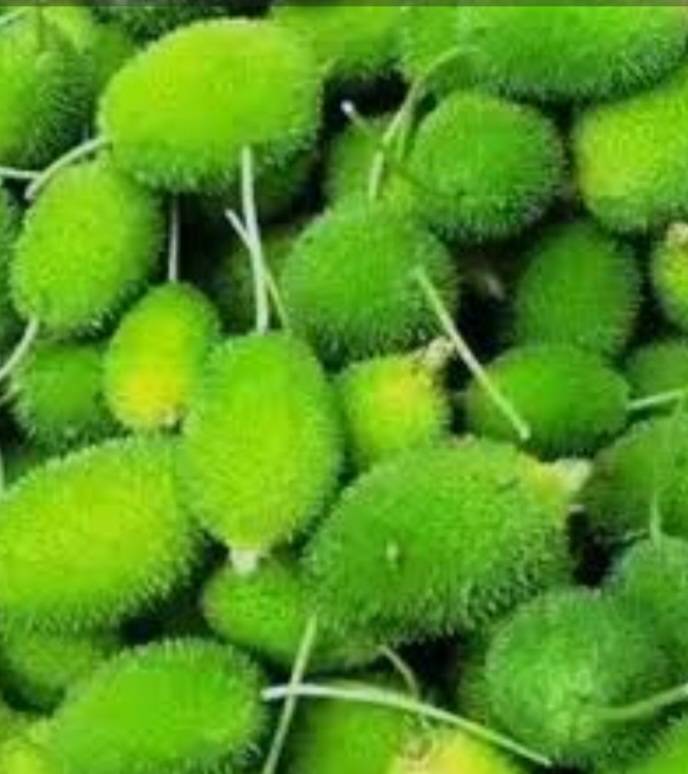 Arka Bharath विक्रीसाठी, हैदराबाद, तेलंगणा