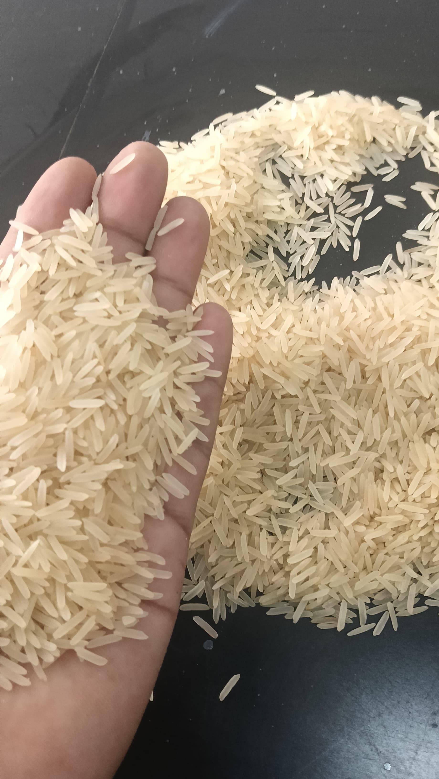 Basmati विक्रीसाठी, वडोदरा, गुजरात