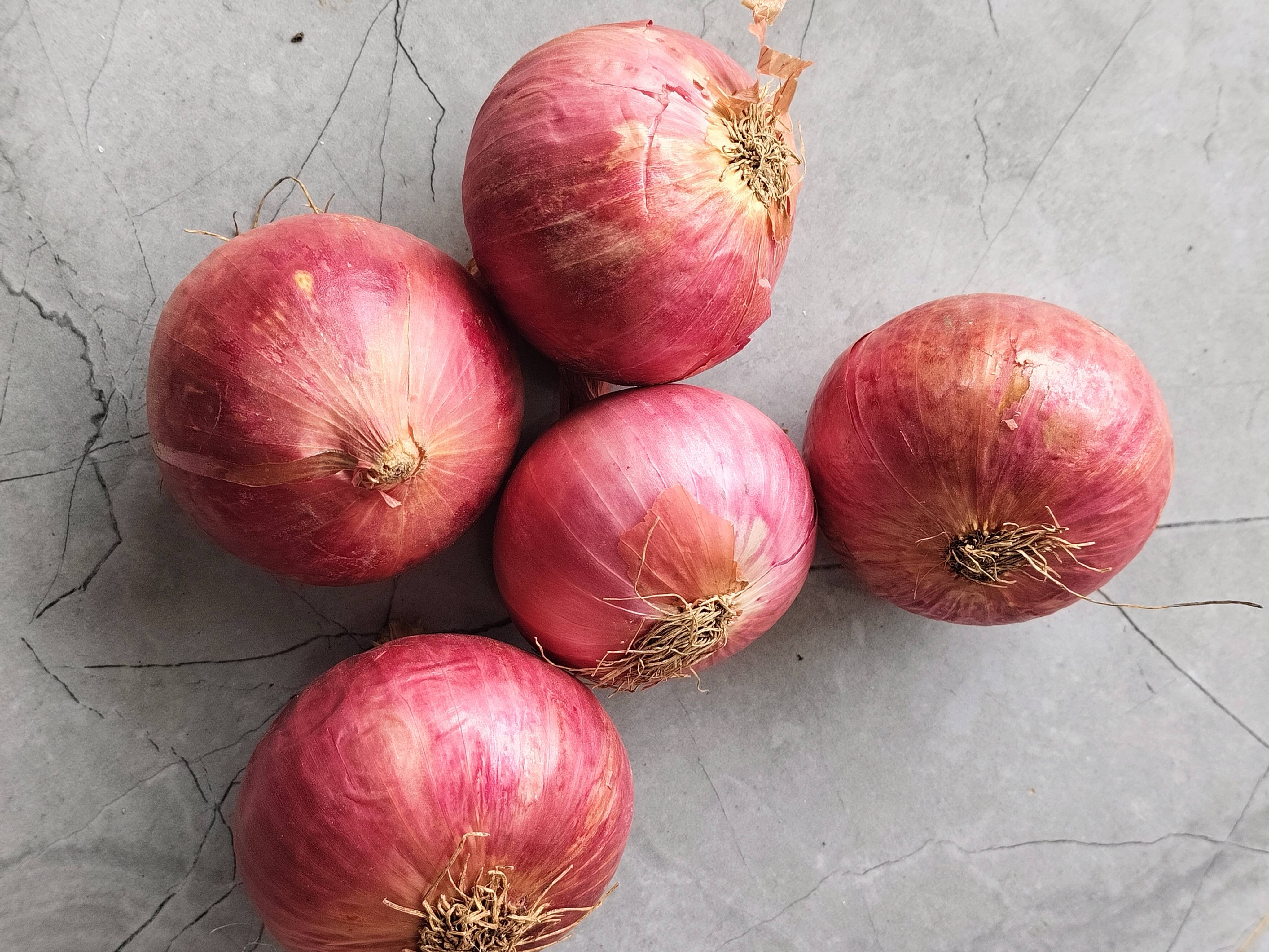 Summer Onion for sale in Ahilyanagar, Maharashtra