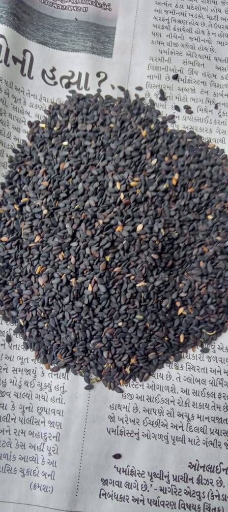 Black Sesame विक्रीसाठी, अहमदाबाद, गुजरात