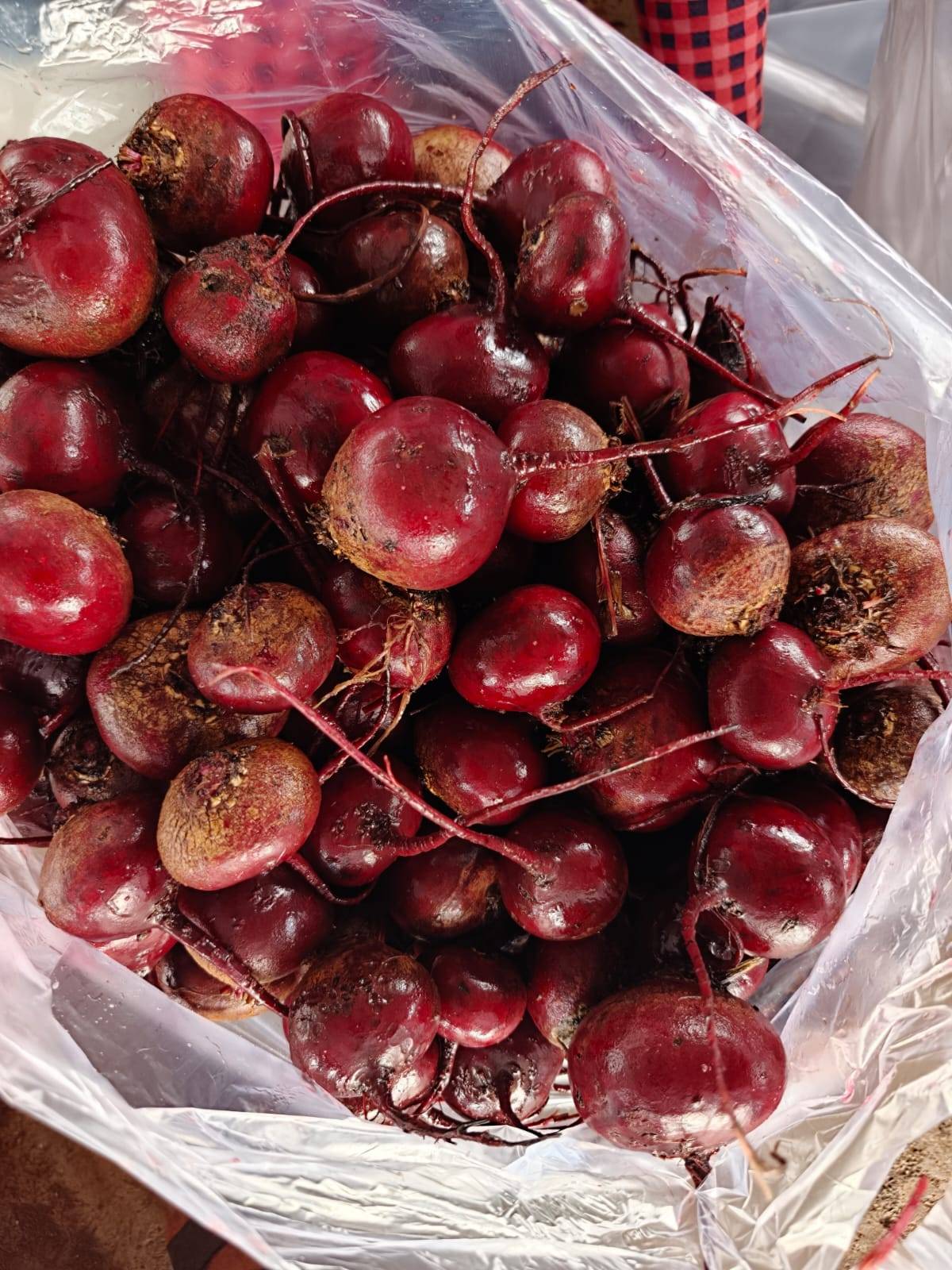 Red Beetroot विक्रीसाठी, नाशिक, महाराष्ट्र